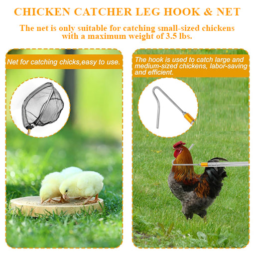 2-in-1 Telescopic Chicken Catcher
