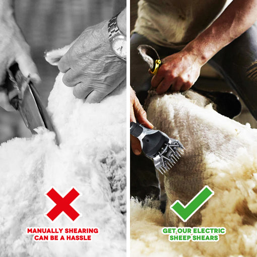 Electric Sheep Shears