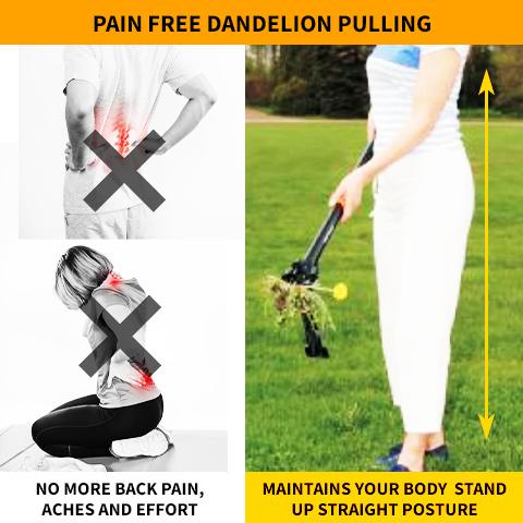 dandelion puller tool