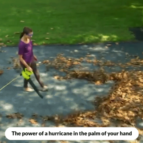 Leaf Blower