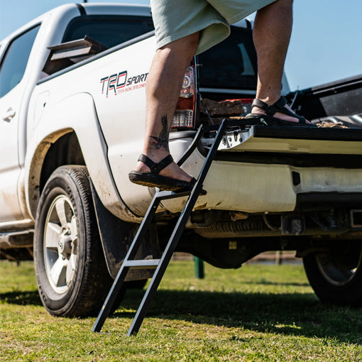 Trucks/Pickup Exterior - Steps