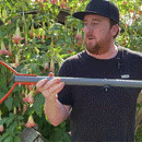 Grass Whip With Double-Edged Serrated Blade