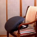 Portable Chair Lift And Sofa Stand Assist