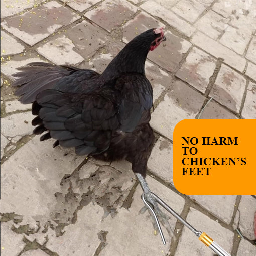 2-in-1 Telescopic Chicken Catcher