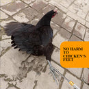 2-in-1 Telescopic Chicken Catcher