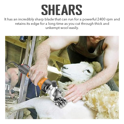 Electric Sheep Shears