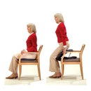 Portable Chair Lift And Sofa Stand Assist