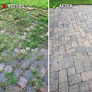 Crack Wild Plant Remover Tool