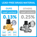RV Water Pressure Regulator
