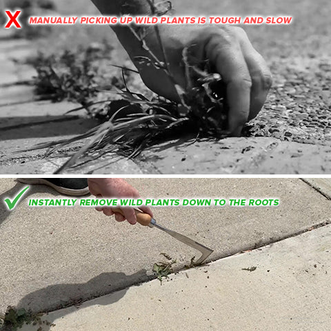 Crack Wild Plant Remover Tool