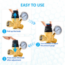 RV Water Pressure Regulator