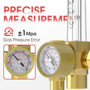 Flow Meter Gas Regulator Gauge