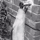 Outdoor Faucet Cover for Winter