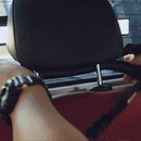 Retractable Dog Seat Belt