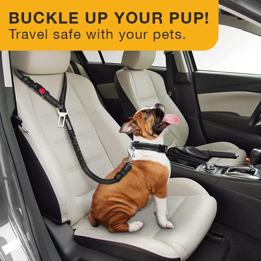 Retractable Dog Seat Belt