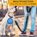 Retractable Dog Seat Belt