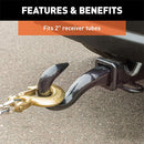 Forged Tow Hook Hitch Mount