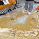 Extendable Rubber Floor Squeegee