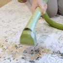 Portable Carpet & Furniture Cleaner