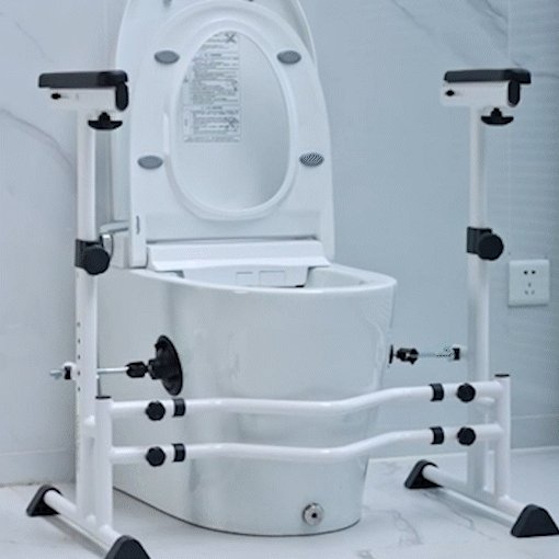 Toilet Support Safety Rails