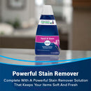 Portable Carpet & Furniture Cleaner