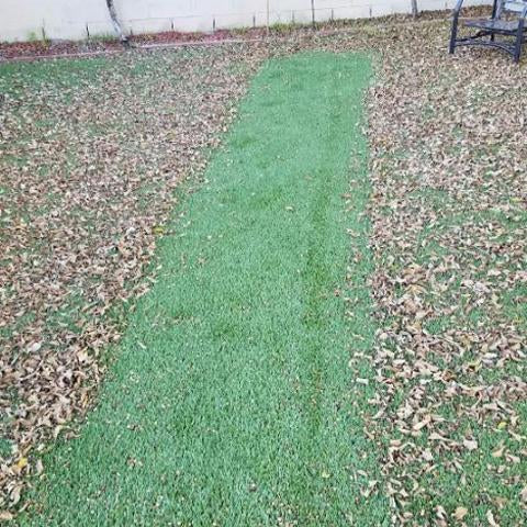 lawn sweeper best