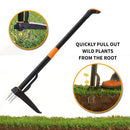 dandelion puller tool
