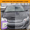 pressure washer with detergent