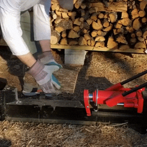 10-Ton Hydraulic Log Splitter