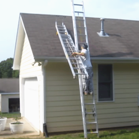 Heavy Duty Ladder Roof Hooks