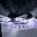 Smart Mosquito Killer Lamp