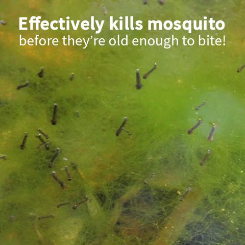 Non-Toxic Mosquito Dunks