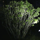 Outdoor Solar Spot Lights