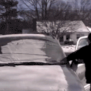 Multi-functional Windshield Cover